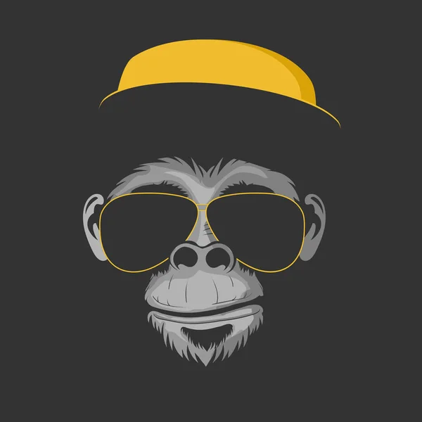 Monkey Sunglasses Hat Dark Background Vector Illustration — Stock Vector