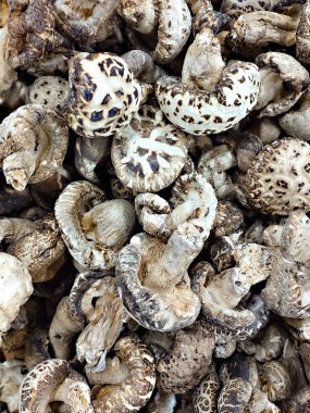 Bir yığın kurutulmuş shiitake mantarı, Asya bitkisel mutfağının temel malzemesi..