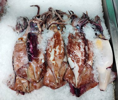 Bazı taze mürekkep balıkları, deniz ürünleri pazarında satılan buzdan yapılmış bir yatağa yerleştirilir..