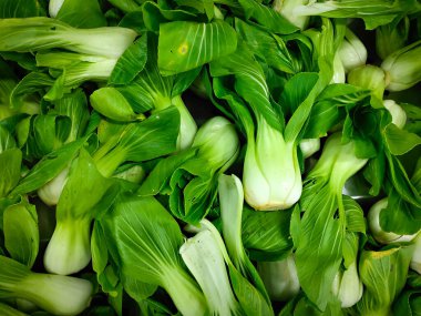 Taze ve parlak pak choy sebze pazarında sergilendi ve satıldı. Taze sebze.