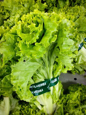 Marketin sebze reyonunda satılan taze sebze anlamına gelen Çin etiketli taze yeşil marul.