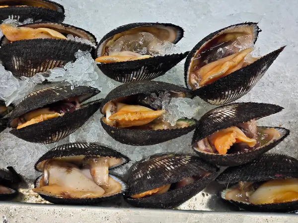 Açık kan midyeleri, kan midyeleri ya da ezilmiş buz yatağında dinlenen Anadara granoası içeren taze deniz ürünleri sergisi.. 