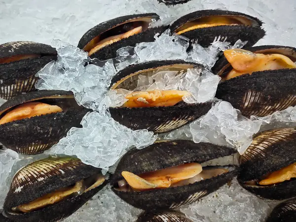 Açık kan midyeleri, kan midyeleri ya da ezilmiş buz yatağında dinlenen Anadara granoası içeren taze deniz ürünleri sergisi.. 