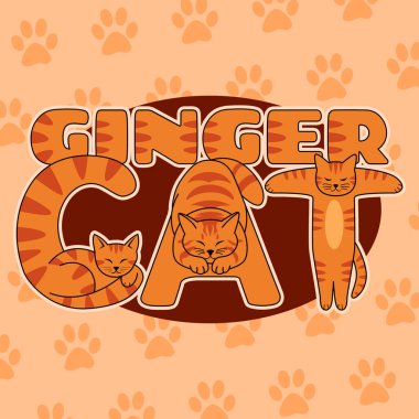 Turuncu kediler, bej arka planda patileriyle 