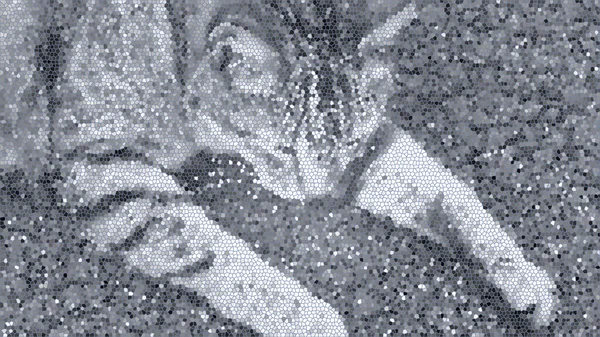 Chat monokrom facon vitrail