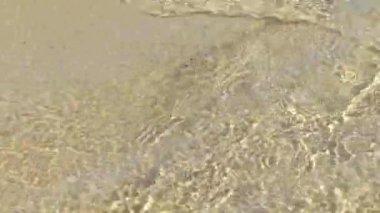 Video des vagues on bord de plage