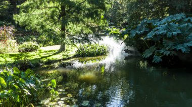 Fotoğraf: d 'un etang avec brume au Puy du Fou
