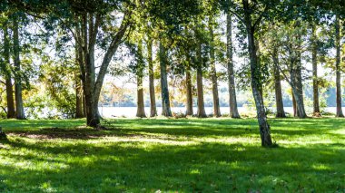 Fotoğraf du paysage du lac de Soustons