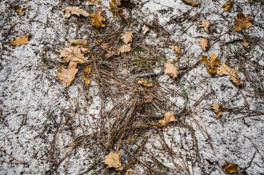 Photo d'un motif de sable blanc avec des aiguilles en macro clipart