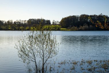 Fotoğraf: d 'un arbre pose dans l' eau lac de Gabas en Bearn part71