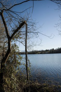 Photo d'une branche d'arbre coupe au lac de Gabas en Bearn part75 clipart