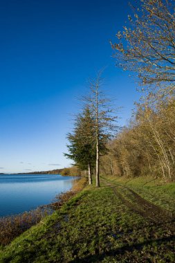 Fotoğraf du beau pay sage du lac de Gabas en Bearn bölüm 98