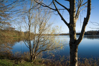 Fotoğraf du beau pay sage du lac de Gabas en Bearn bölüm 109