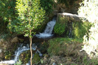 Saint-Guilhem-le-Dsert 'den gizli Şelale Güzel Sanatlar Fotoğrafı