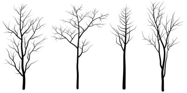 Bir grup ağaç silueti. vektör illüstrasyonu 