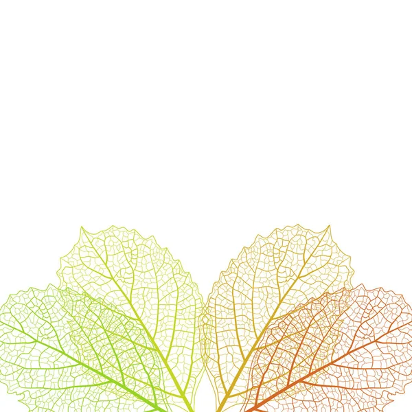 白い背景に異なる色の秋の葉 ベクターイラスト — ストックベクタ