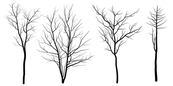 Bare Trees Set Vector Illustration — Stock Vector