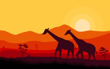 Günbatımında zürafalarla Afrika savanası 