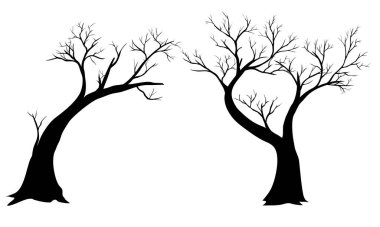 Beyaz arkaplanda izole edilmiş çıplak ağaçlar dizisi 