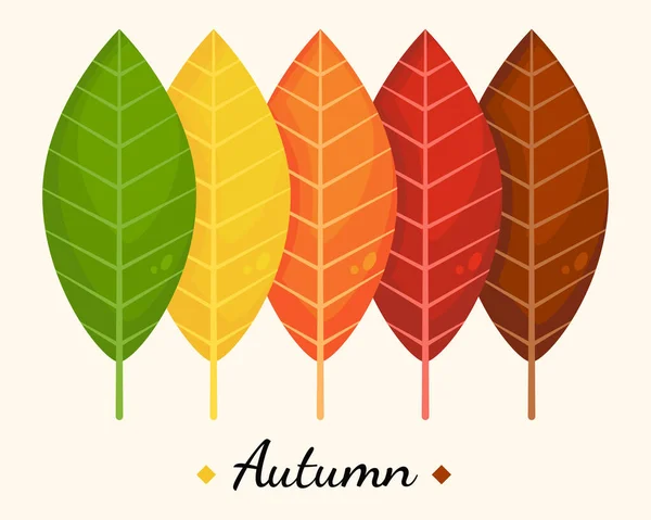 さまざまな秋の紅葉のセット — ストックベクタ