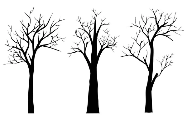 Reihe Von Kahlen Bäumen Isoliert Auf Weißem Hintergrund — Stockvektor