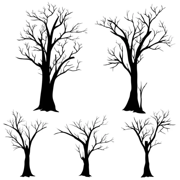 Beyaz Arkaplanda Izole Edilmiş Çıplak Ağaçlar Dizisi — Stok Vektör