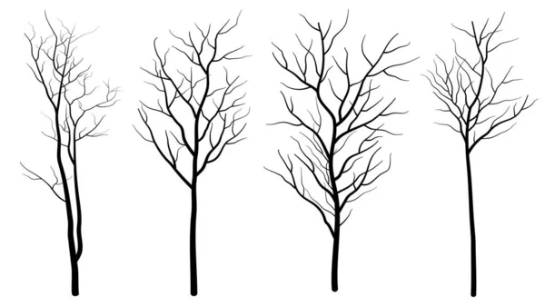 Zbiór Drzew Liściastych Odizolowanych Białym Tle — Wektor stockowy