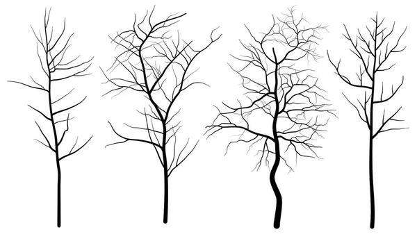 Set Bare Trees Silhouettes — Stock Vector