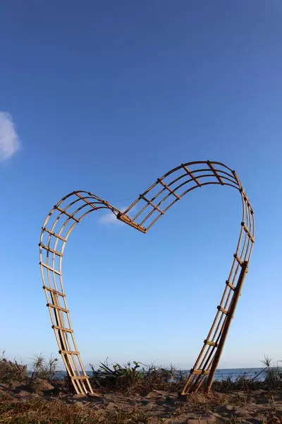 Heart Made Wood — Stock Photo, Image