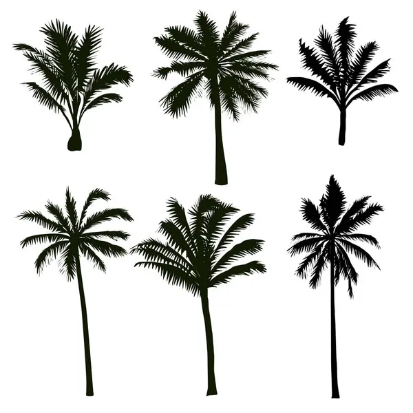 Набір Пальмових Дерев Векторні Ілюстрації Стоковий вектор