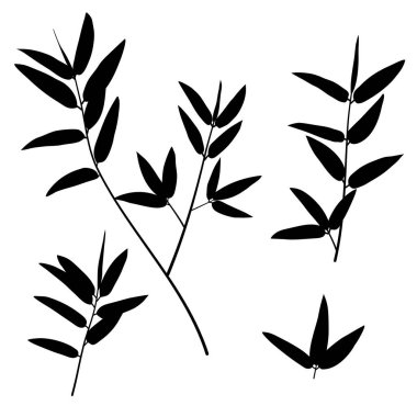 Yapraklı dal. Bambu yaprakları siluet seti