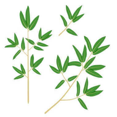 Bambu element koleksiyonu yapar