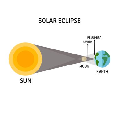 Güneş tutulması. Güneş tutulması. Güneş sistemi, vektör illüstrasyonu.