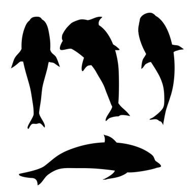 deniz hayvanları kümesi