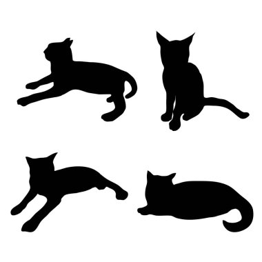 Bir grup siyah kedi silueti..