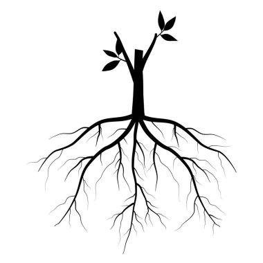 Bir ağaç ve köklerin vektör çizimi