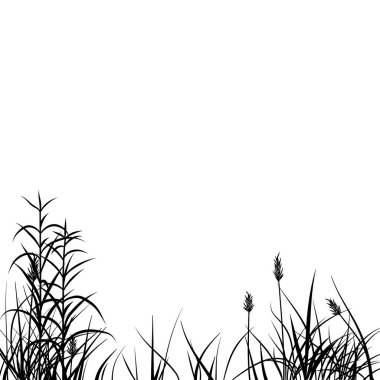 Beyaz arkaplanda çimenler ve çiçekler izole edilmiş