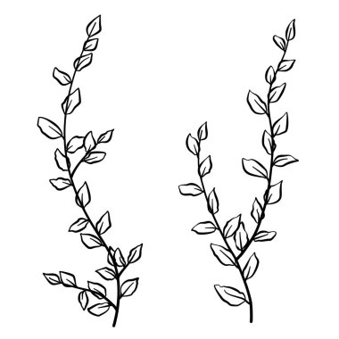 El çizimi çiçek dalları ve çiçekler. vektör illüstrasyonu