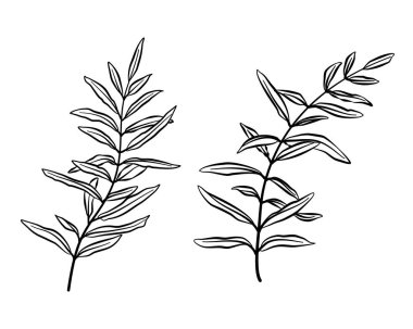 El çizimi çiçek dalları. siyah ve beyaz resimleme