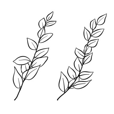 şube ile simge vektör çizim tasarım yapraklar