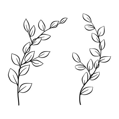 Yapraklı bir dal seti