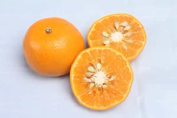 바탕에 분리되어 가느다란 오렌지색 — 스톡 사진