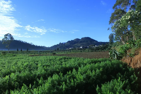 Dağların güzel manzarası