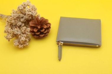 Beyaz arka planda kalem ve kaktüs bitkisi olan altın renkli defter.