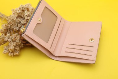 Cüzdan ve cüzdan renk arkaplan