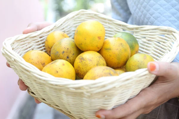 Cesta Con Naranja Madura Fruta Una Mano — Foto de Stock