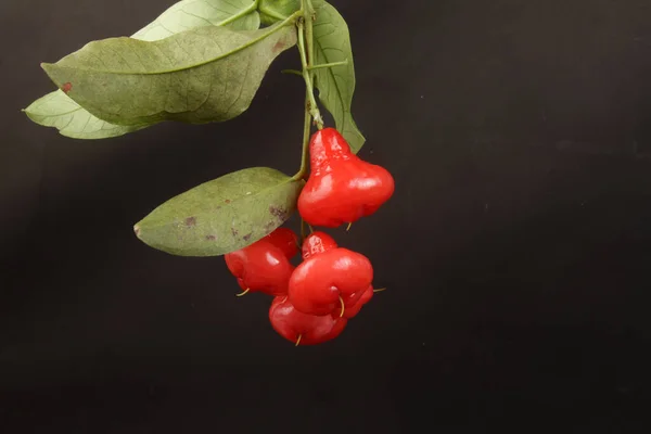 Koyu arkaplanda kırmızı kiraz meyveleri