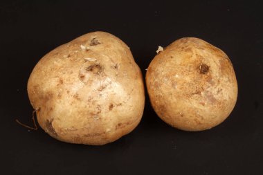 jicama siyah arkaplanda izole et