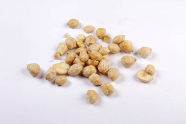 Candlenut beyaz arkaplanda izole edildi