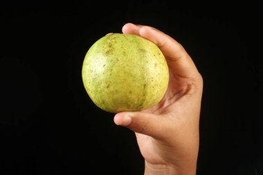 Guava 'nın elini siyah arkaplanda tut